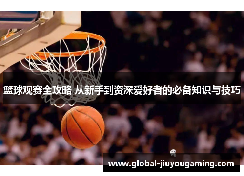 篮球观赛全攻略 从新手到资深爱好者的必备知识与技巧