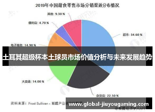 土耳其超级杯本土球员市场价值分析与未来发展趋势