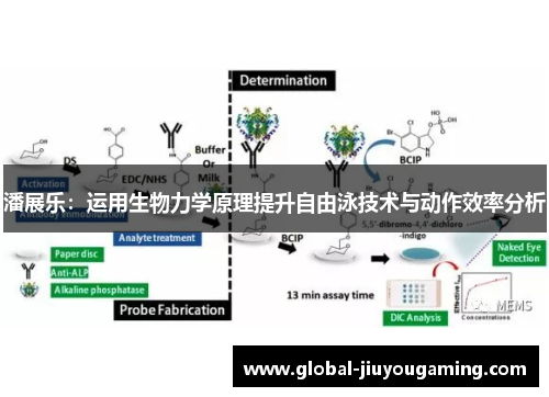 潘展乐：运用生物力学原理提升自由泳技术与动作效率分析