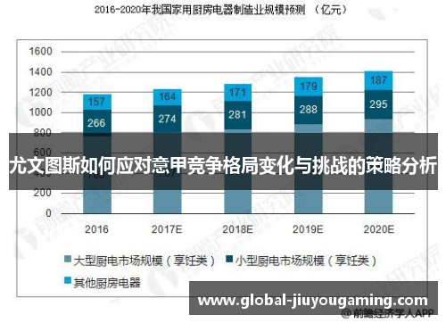 尤文图斯如何应对意甲竞争格局变化与挑战的策略分析