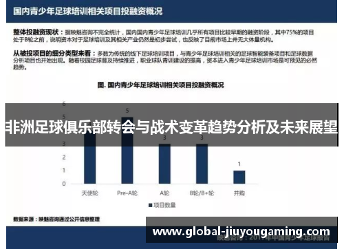 非洲足球俱乐部转会与战术变革趋势分析及未来展望