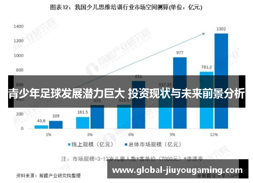 青少年足球发展潜力巨大 投资现状与未来前景分析