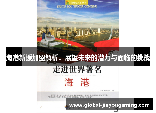 海港新援加盟解析：展望未来的潜力与面临的挑战