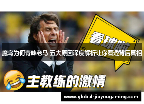 魔鸟为何青睐老马 五大原因深度解析让你看透背后真相